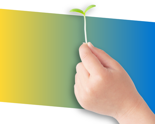 Child's hand holding small plant sprout with yellow to blue gradient background.